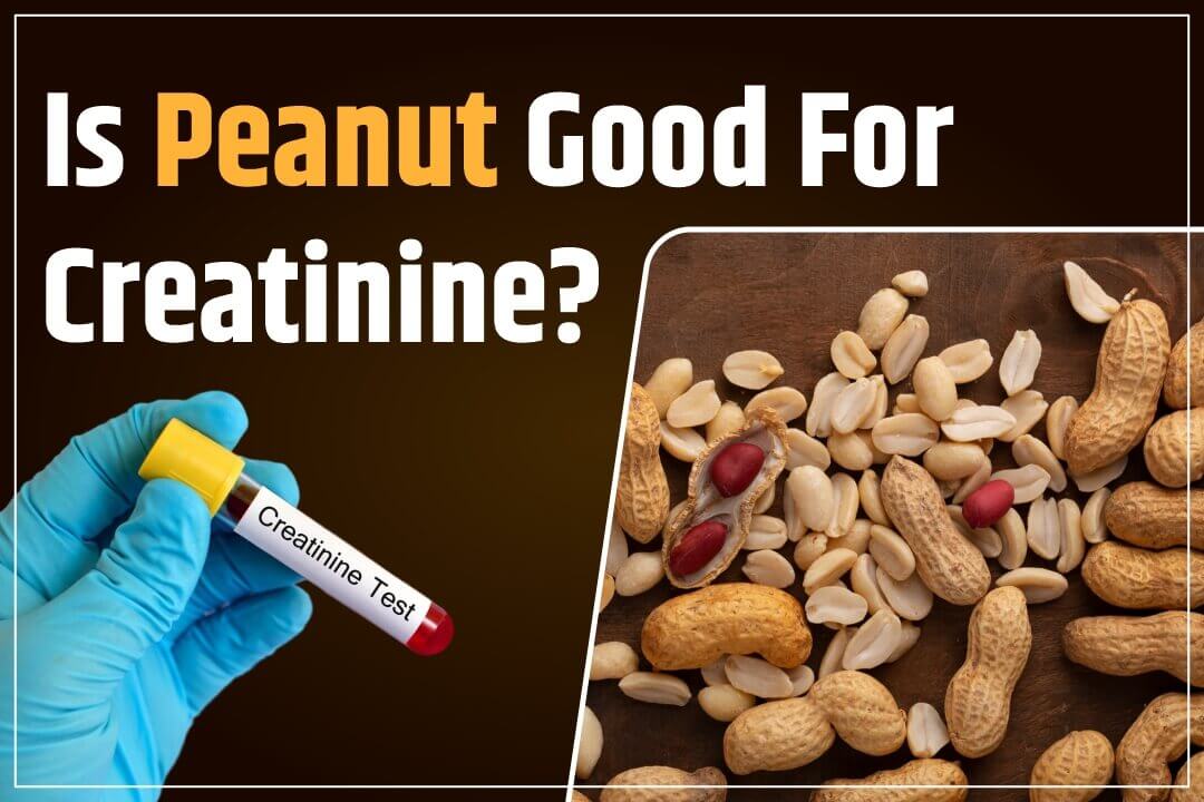 Is Peanut Good For Creatinine?