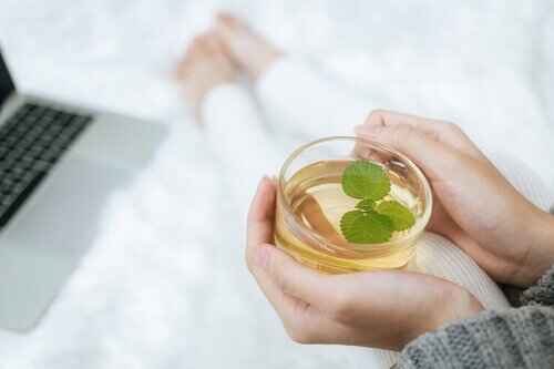 Tulsi Holy Basil Tea is Good For Kidney Cleanse