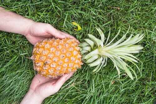 Pineapple Is Good For Kidney Creatinine