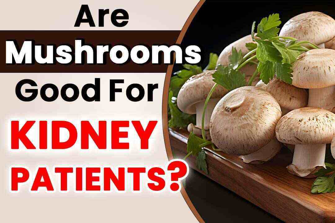 Are Mushrooms Good For Kidney Patients?