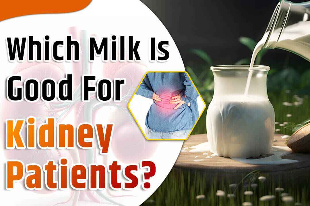 Which Milk is Good For Kidney Patients?