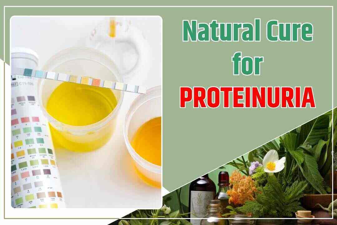 Natural Cure for Proteinuria