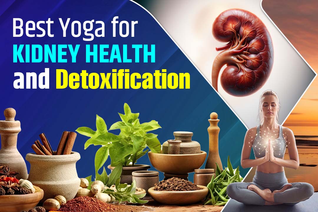 Best Yoga For Kidney Health and Detoxification