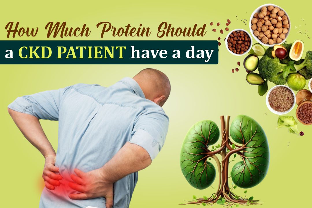 How much protein should a CKD patient have a day